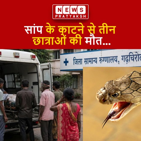 गढ़चिरौली: महाराष्ट्र के गढ़चिरौली जिले में एक दर्दनाक हादसे में सांप के काटने से तीन छात्राओं की मौत हो गई, जबकि तीन अन्य छात्राओं का अस्पताल में इलाज चल रहा है। इनमें से एक की हालत गंभीर बताई जा रही है। घटना धनोरा तालुका के जपतलाई स्थित आवासीय आश्रम स्क