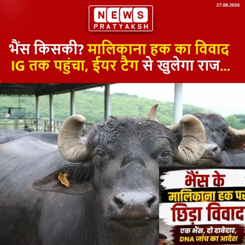भैंस किसकी? गया में मालिकाना हक का विवाद IG तक पहुंचा, ईयर टैग से खुलेगा राज