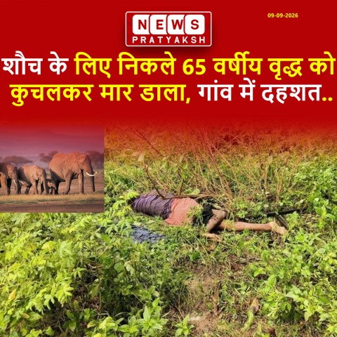 गुमला में हाथी का आतंक: शौच के लिए निकले 65 वर्षीय वृद्ध को कुचलकर मार डाला, गांव में दहशत